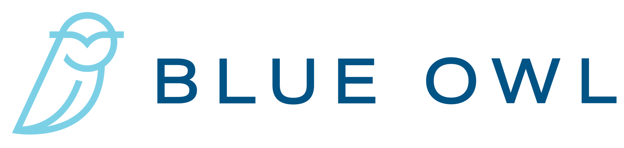Blue Owl Capital Holdings  logo